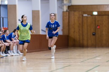Bild 163 - wBJ TSV Ellerau - HSG Stoertal Hummeln : Ergebnis: 26:19
